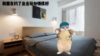 猫meme｜割包皮的奇妙体验