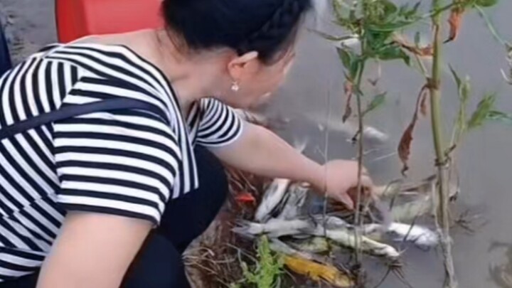 功德TV之放生失败之积积阳阳德