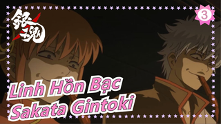 [Linh Hồn Bạc] Mùa 2| Sakata Gintoki| Các cảnh biểu tượng hài hước CUT_3