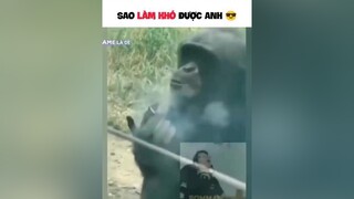 video hài hước hài hàihước hàivl xuhuong foryou fyp funny