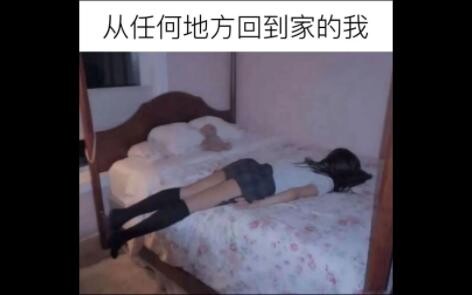 每日吊图175