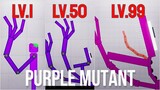 Evolution of Purple Roblox Rainbow Friend 1080p