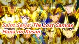 Saint Seiya: The Lost Canvas |ED - Hana no Kusari (Lengkap Dengan Subtitle)
