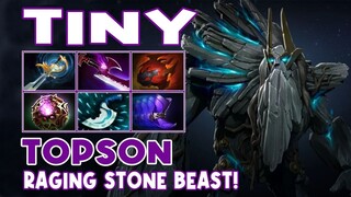 Tiny Topson Highlights RAGING STONE BEAST - Dota 2 Highlights - Daily Dota 2 TV