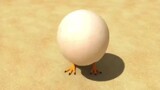 SMNB-Trộm trứng và cái kết