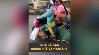 Chó là bạn, nguồn sưu tầm. LearnOnTikTok tuitienpet petonesaigon