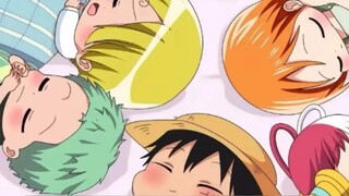 One Piece: 8 members of the Straw Hat Pirates have revealed their origins! Their backgrounds are not