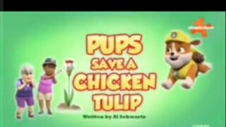 Paw patrol Musim 8 Episode 13 Bahasa Indonesia Vision+