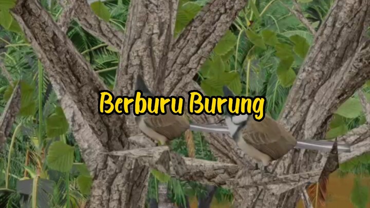 Berburu Burung