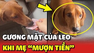 Lui Théo - Gương mặt LO LẮNG của Leo khi bị mẹ hỏi MƯỢN TIỀN 😂 | Yêu Lu