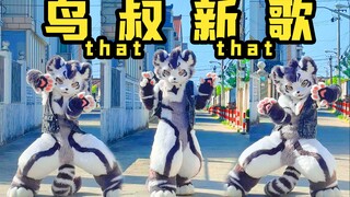 洗脑循环！！！鸟叔PSY-That That【银碳】