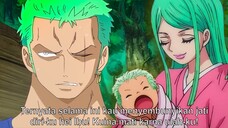 KISAH LENGKAP KLAN SHIMOTSUKI DAN MASA LALU RORONOA ZORO! KUINA TRAGIS! - One Piece 1029+ (Teori)