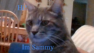 Im sammy