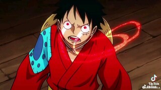 xin thứ lỗi nhưng tôi chỉ nhận lệnh từ thuyền trưởng tài ba LUFFY