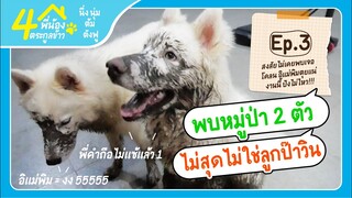 ข้าวต้ม ข้าวตังฟู เก็บกดมาจากไหนน้อ ป๊าวิน อิแม่พิมปวดหัว - ข้าวนึ่ง & เดอะแก๊ง