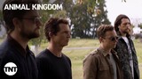 Animal Kingdom: Seasons 1-4 [RECAP] | TNT