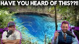 Americans React To The Philippines Enchanted River - The MOST BEAUTIFUL RIVER IN THE WORLD ?