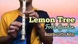 LEMON TREE (Fools Garden) | Recorder Flute Cover with Letter Notes / Flute Chords