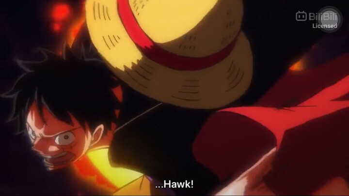 Luffy red hawk