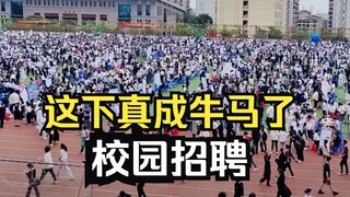 大型纪录片《校园招聘传奇》看来真的需要教育闭环！