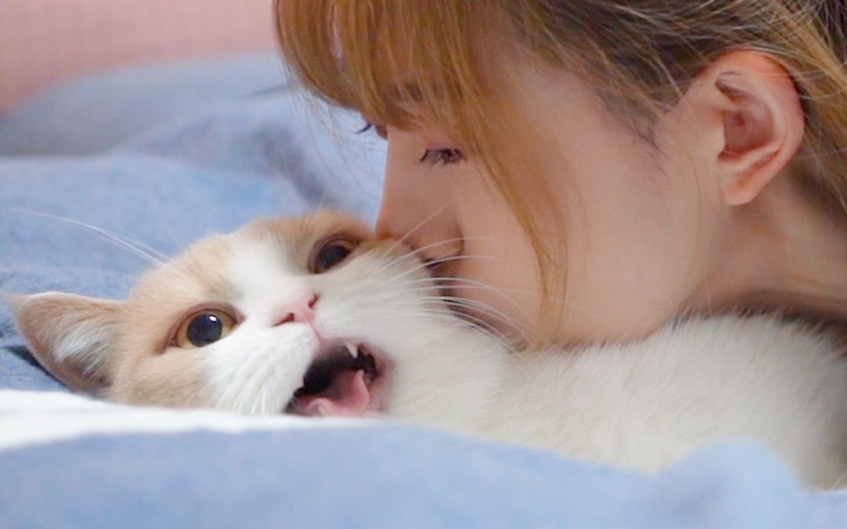 Funny Cat Videos】It Got Angry - BiliBili