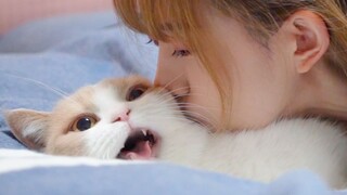 Mencium Kucing Saat Mereka Tidak Memperhatikan, Bagaimana Jadinya?