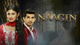 Naagin - Episode 16