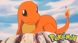 Pokémon Tập 11: Hitokage, Pokémon Đi Lạc (Lồng Tiếng)