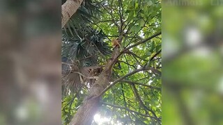 Đỡ không nổi những tình huống khó đỡ #41