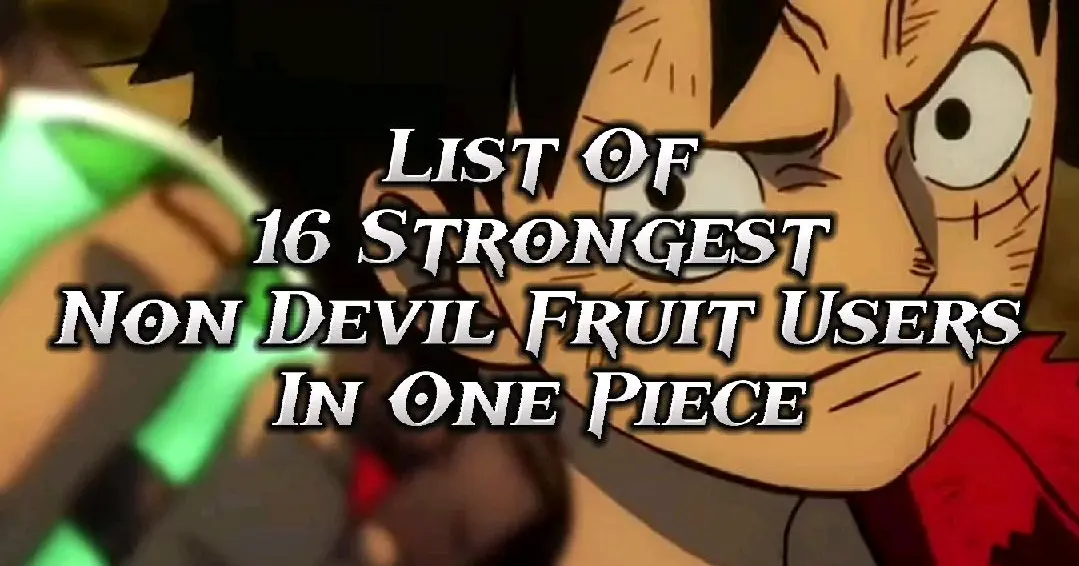 List Of 16 Non Devil Fruit Users In One Piece Bilibili