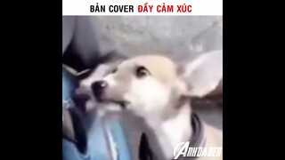 Bản Cover Đầy Cảm Xúc