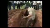 Filem Indonesia LORE