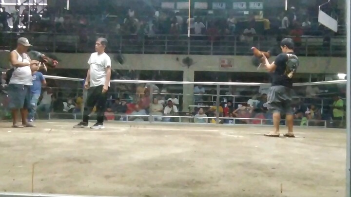 3rd fight lose pa both pa champion at Pateros coliseum