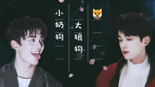 【吴磊&宋祖儿】磊鹅|双磊|小奶狗vs大狼狗