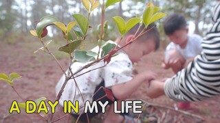 A day in my life vlog 5 - Làm bếp mini đi cắm trại - tận hưởng những gì đang có