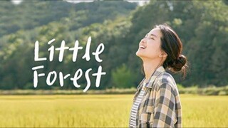 Little forest full movie (sub indo)