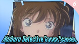 Haibara Detective Conan Scenes_6