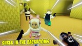 DIKEJAR MONSTER SHREK & SCP - Shrek in the Backrooms Portal! Roblox Indonesia