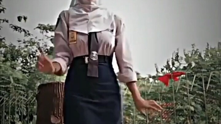 smp full badan
