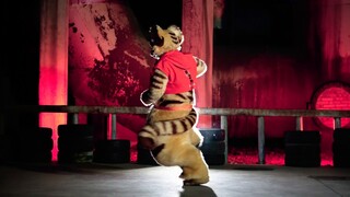 [FursuitDance] ช็อค! สองมิติ เสือน้อยพลิก มหาเอกผนึกมาร OP เพลง 迴迴qitan