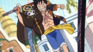 moment kawaii luffy gendong law 😂