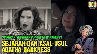 INI DIA SOSOK ASLI AGNES, PENYIHIR YANG JADI DALANG DI REALITAS HEX!! | SEJARAH  AGATHA HARKNESS