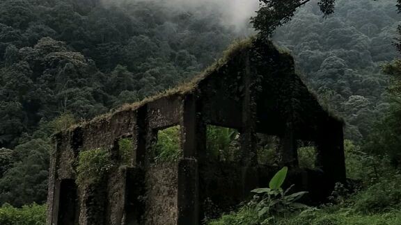 lupakan kenangan