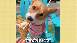 เพื่อนตัวน้อย สัตว์เลี้ยงแสนซน : เรื่องกินไว้ใจหนู