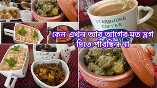 Bengali Vlog ll এত দিন কোথায় ছিলাম ll Morning Till Evening Vlog ll