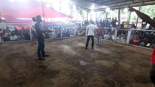 Katupac conditiong, maaasahan sa oras ng Basaan