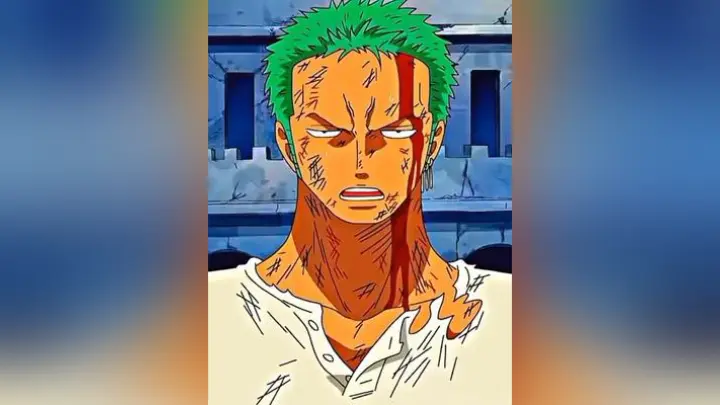 Roronoa Zoro Pemuda Tersesat Bilibili