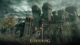 How much same Data do Elden Ring and Dark Souls have?
