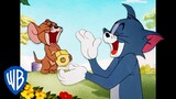 Tom y Jerry en Latino | Reto "intenta no reírte" | WB Kids