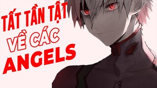 Tất tần tật về các thiên thần trong Evangelion !